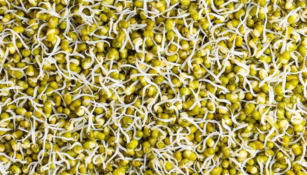 Top 10 Amazing Vegan Protein Sources 2 Top 10 Amazing Vegan Protein Sources