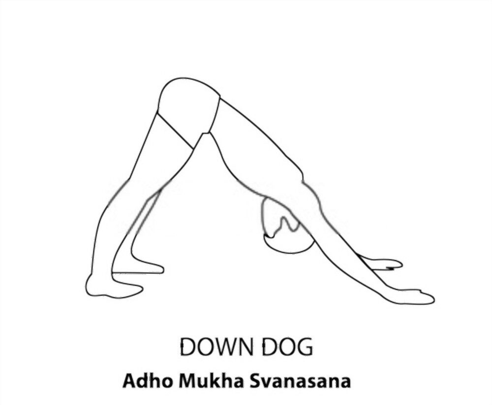 Downward Dog Pose