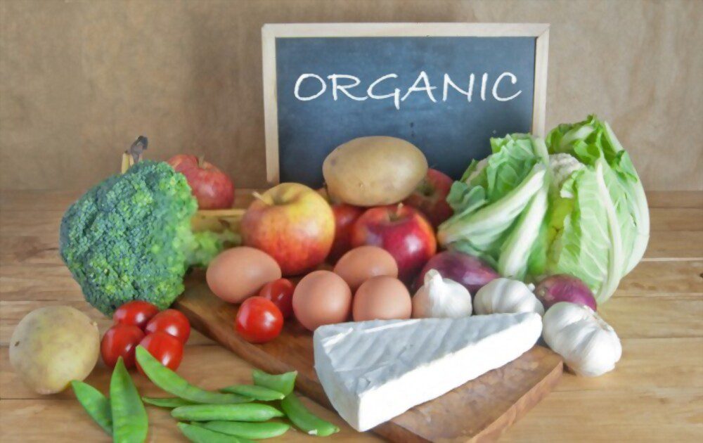 Why You Should Choose Organic Food for Healthier Lifestyle