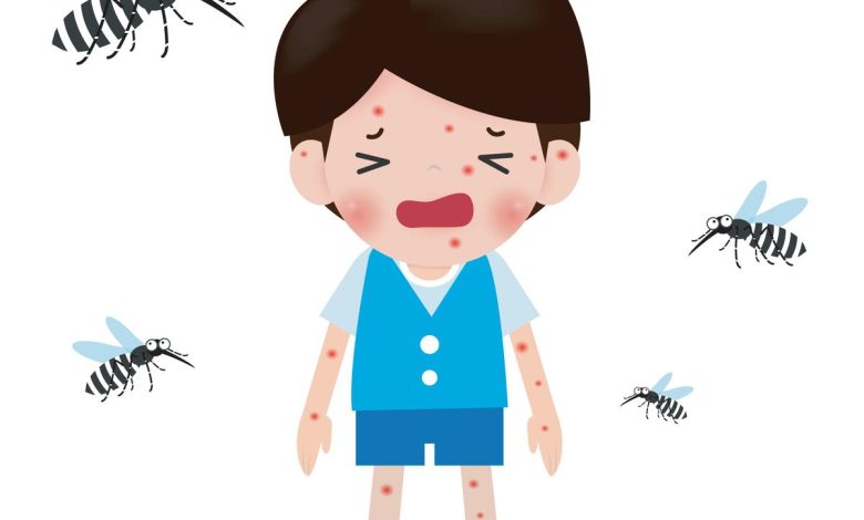 Dengue Fever Prevention