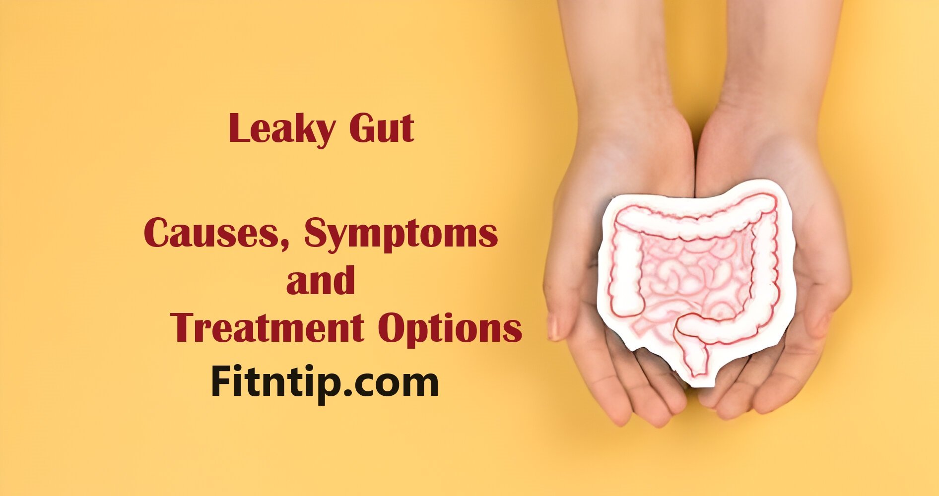 Understanding Leaky Gut Causes, Symptoms And Treatment Options FitNTip