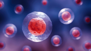 p21 and Zbtb18 Team Up to Regulate Hematopoietic Stem Cell