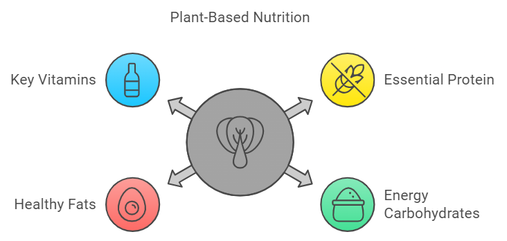 Plant-Based Athlete Nutrition