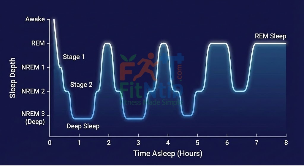 The Science of Sleep: How to Create the Perfect Bedtime Routine 3 The Four Stages of the Sleep Cycle
