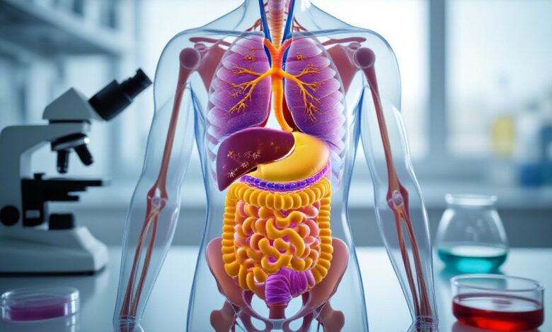 The Second Brain: How Your Gut Microbiome Controls Your Mood