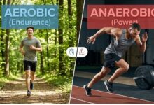 The Difference Between Aerobic and Anaerobic Exercise Explained 28 Difference-Between-Aerobic-and-Anaerobic-Exercise-Explained